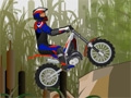 Moto Trial Fest 2 online game