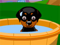 My Sweet Dog online game