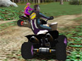 Racing Quads online game