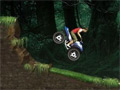 Jungle ATV online game