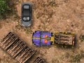 Timber Lorry Driver online game