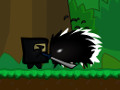 Hidden Valley Ninja online game