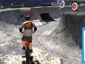 BMX Freestyle online game