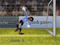 Ragdoll Goalkeeper online game